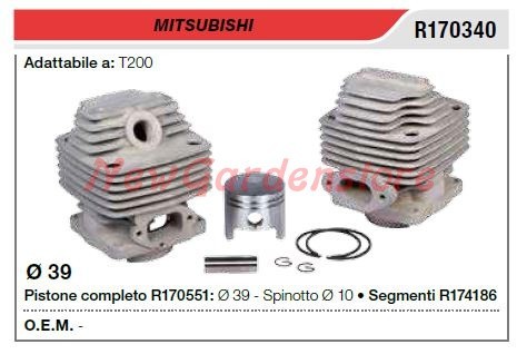 Cilindro pistone segmenti